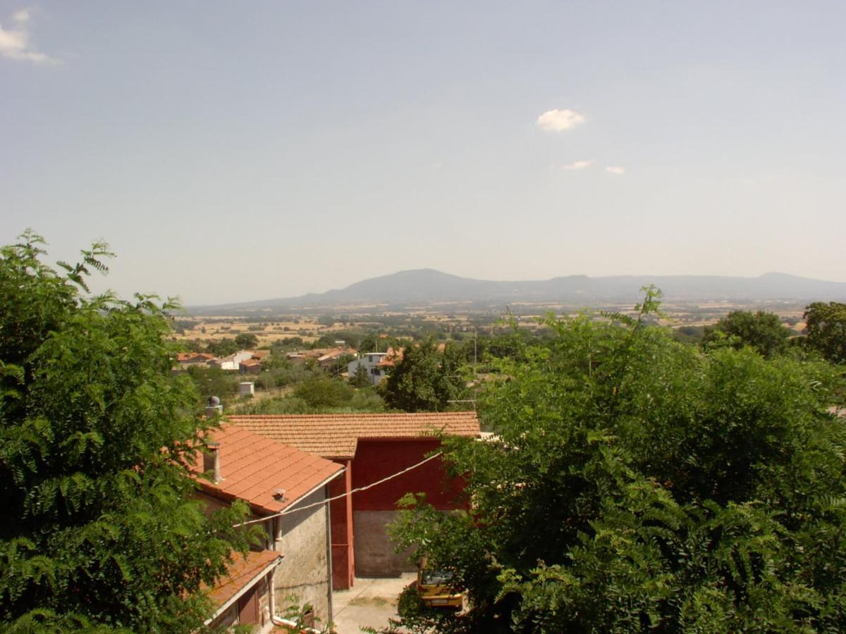 Zepponami I Tulipani Olandesi B&B 외부 사진
