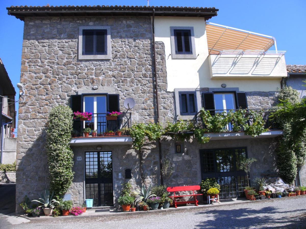 Zepponami I Tulipani Olandesi B&B 외부 사진